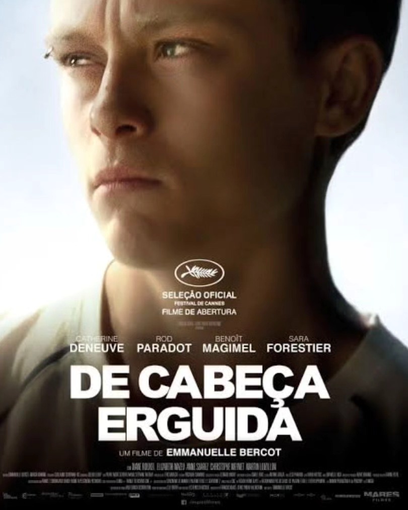 Capa da análise De cabeça erguida, sobre agressão / agressividade