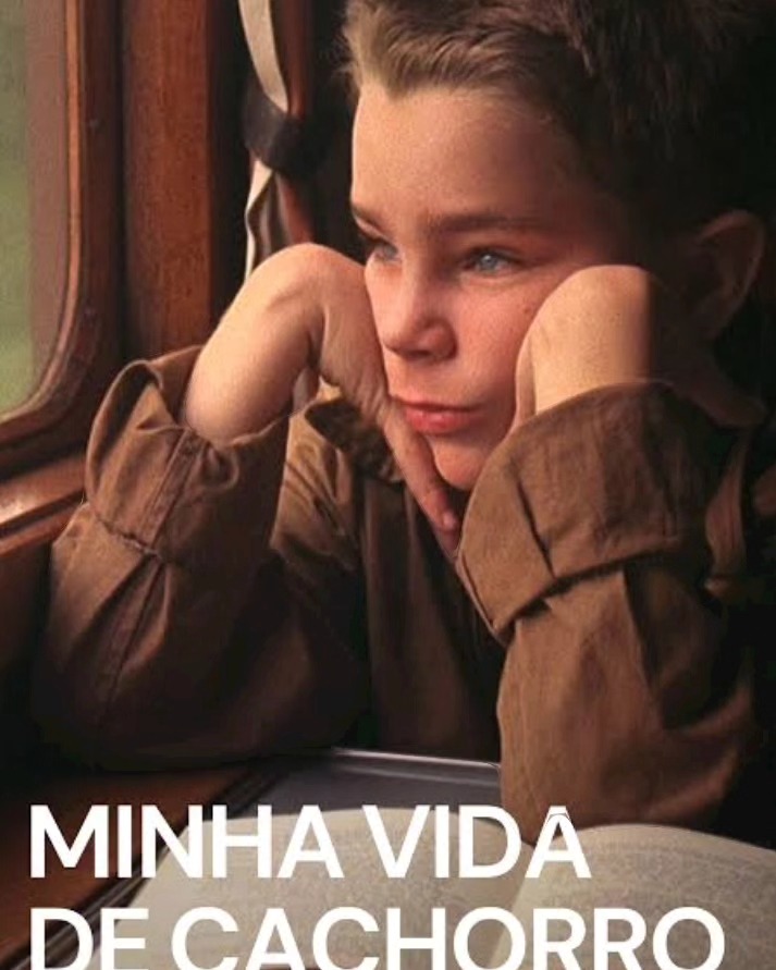 Capa da análise Minha vida de cachorro, sobre Brincar / Cultura